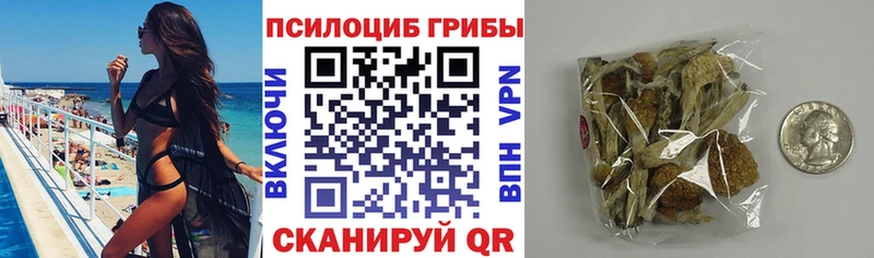 Псилоцибиновые грибы Magic Shrooms  Купить  Курильск 